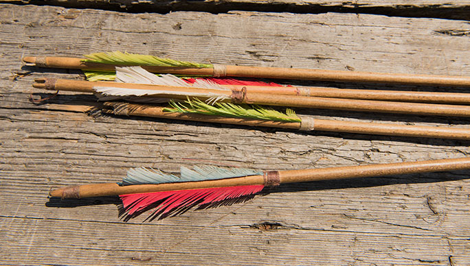 bow hunting adult programs central va