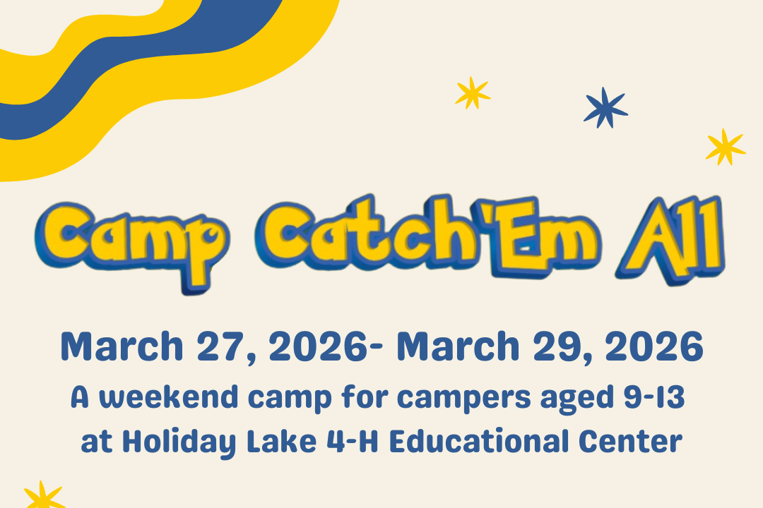 Camp CatchEm All Promo website