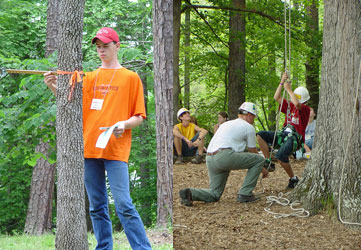 forestry activities central va appomattox