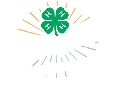 largecenter 4h camp logo