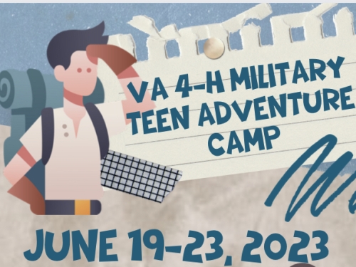 Virginia 4-H Military Teen Adventure Camp