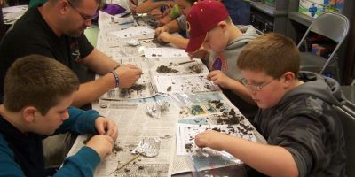 Owl Pellet Dissection