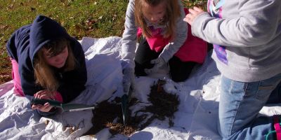 Soil Studies